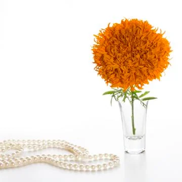 Orange marigolds Stock Photos