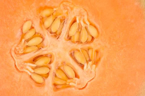 Orange melon kernel in close up Stock Photos
