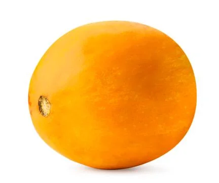 Orange melon on a white background. Isolated Stock Photos