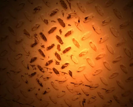 Orange Metal Video stock 102390