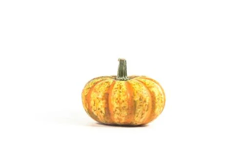 The orange mini pumpkin isolate on white background Stock Photos