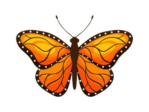 Orange Monarch Butterfly Front View Illustration Иллюстрация