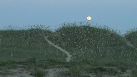 Orange Moon Above Grasses in Outer Banks, North Carolina Stock Footage 98271538