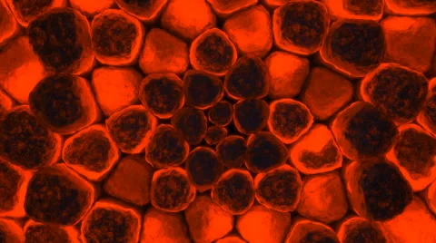 Orange moving cells. Stock Footage 46686690