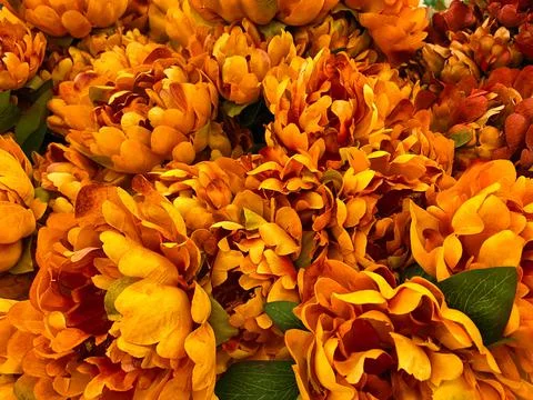 Orange Mum Background - Add Text Stock-Fotos