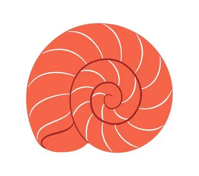 Orange nautilus spiral shell. Hand drawn trendy flat style isolated Stock Illustration