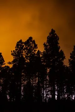 Orange night with lightning below Stock Photos