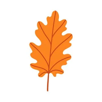 Orange oak leaf isolated on white background. Simple autumn fall leaf for イラスト素材