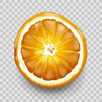 Orange or lemon cut in half top view. Citrus fruit Stock Illustration