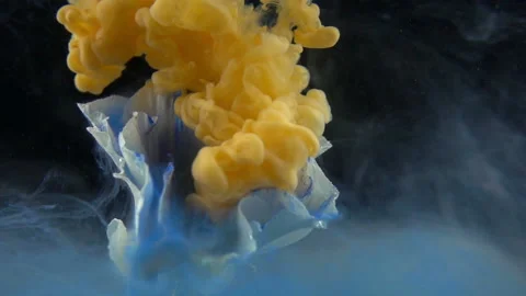 Orange Paint And Blue-White Flower Stock Footage 94330100