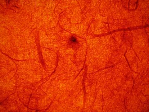 Orange paper texture Stock Photos