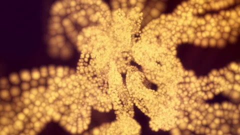 Orange particles background. Seamless loop Stock Footage 230384662