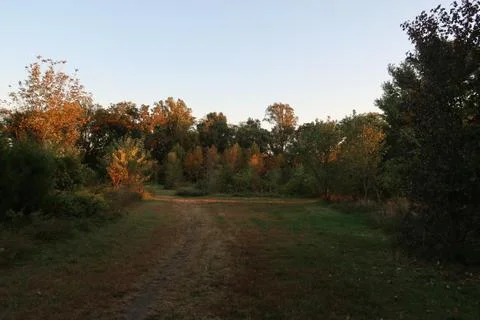 The Orange Path Foto stock