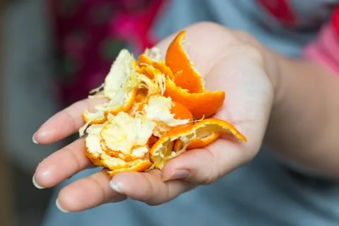 Orange peel in hands Stock Photos