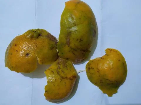Orange peel 写真素材