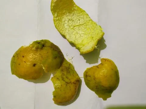 Orange peels 写真素材
