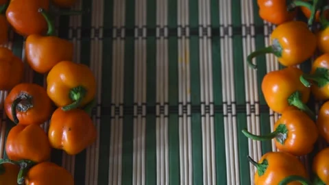 Orange pepper frame background Stock Footage 259368191