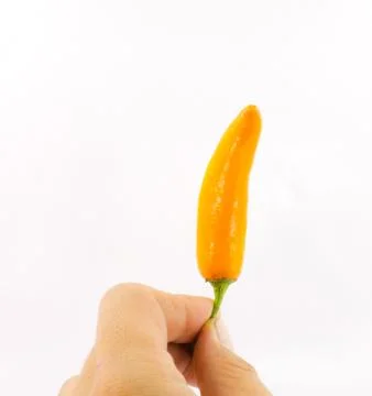 Orange pepper in hand Stock Photos