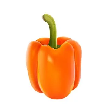 Orange pepper on white background Illustrazione stock