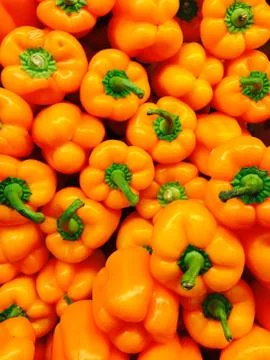 Orange Peppers 스톡 사진
