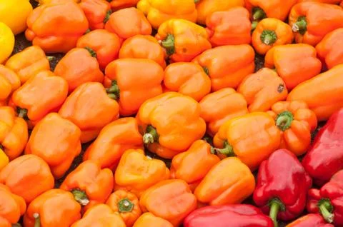 Orange peppers stack at the market Stock Photos
