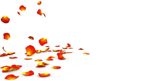 Orange petals fluttering to the floor from the side Stock Footage 85906981
