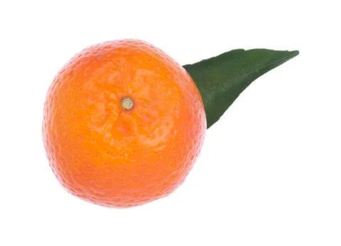 Orange Stock Photos