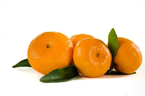Orange 스톡 사진