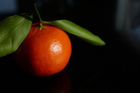 Orange Stock Photos