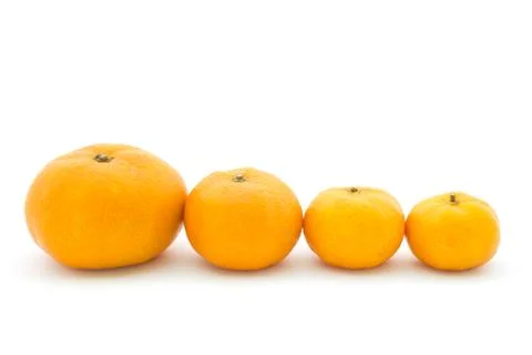 Orange Stock Photos