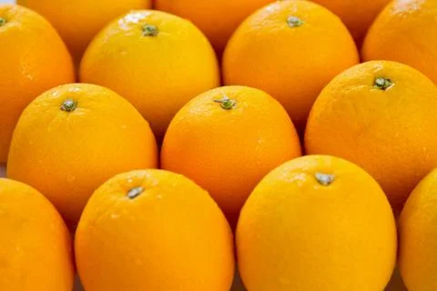 Orange Stock Photos