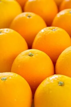 Orange Stock Photos
