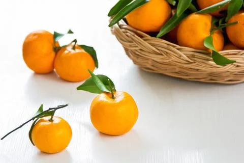 Orange Stock Photos