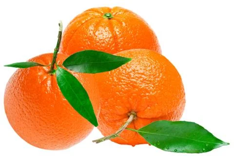 Orange Stock Photos