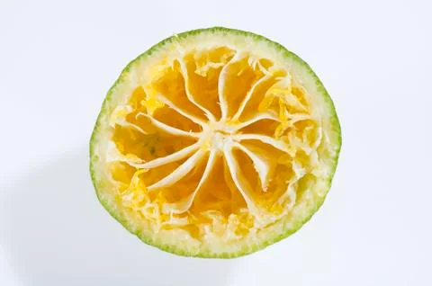 Orange Stock Photos