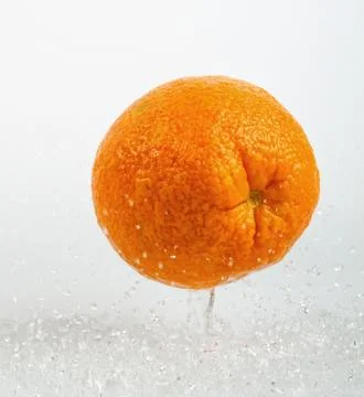 Orange Stock Photos