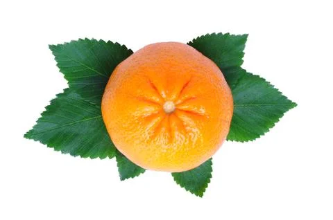 Orange Stock Photos