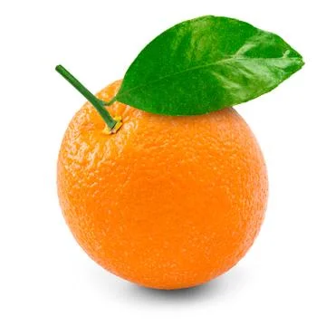 Orange Stock Photos