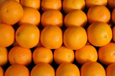 Orange Stock Photos