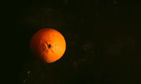 Orange Stock Photos
