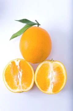 Orange Stock Photos