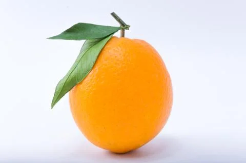 Orange Stock Photos