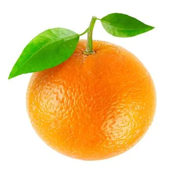 Orange Stock Photos