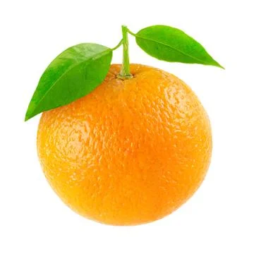 Orange Stock Photos