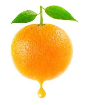 Orange Stock Photos