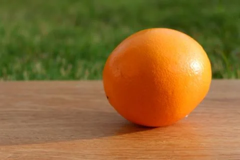 Orange Stock Photos