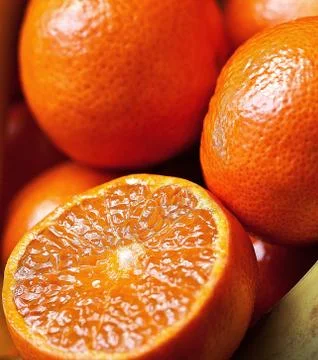 Orange. Stock Photos