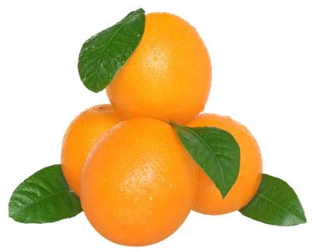 Orange Stock Photos