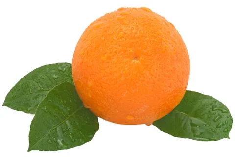 Orange Stock Photos