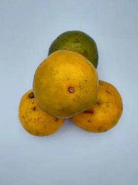 Orange  Stock Photos